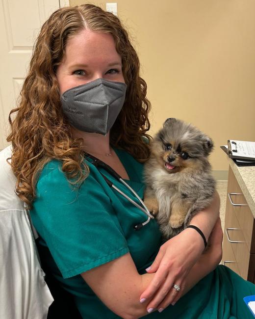 Dr. Frank with a puppy patient