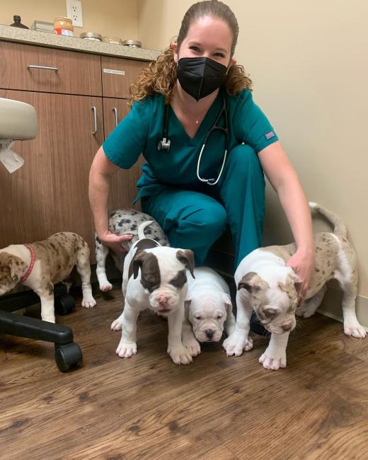 Dr. Frank with puppies