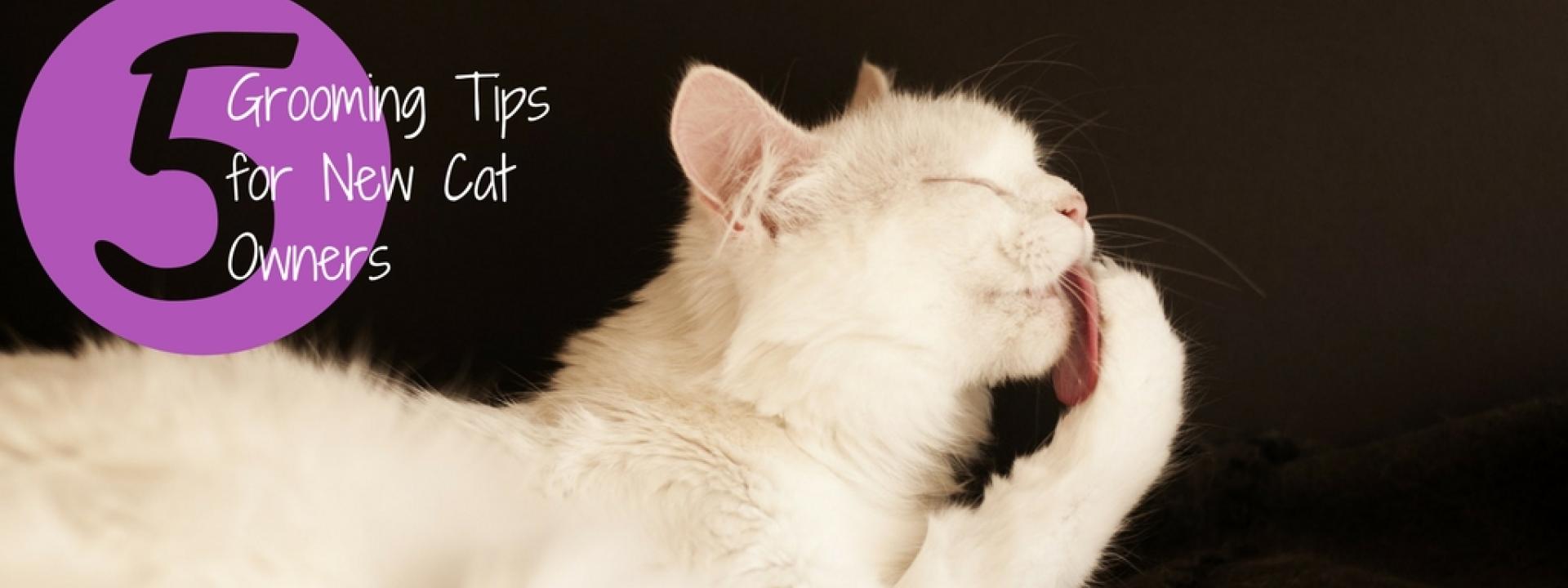 5 Grooming Tips for New Cat Owners